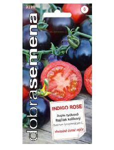 paradajky indigo rose